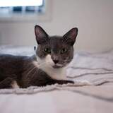 Entry image for Storm