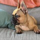 Entry image for California