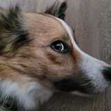 Entry image for Zara