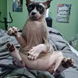 Entry image for Mr Wrinkles