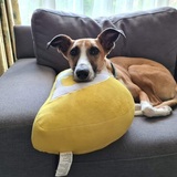 Entry image for Mortimer 