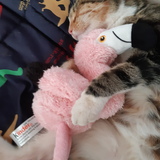 Entry image for Mystic