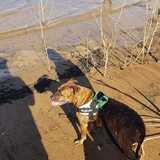 Entry image for Austin