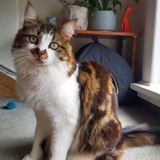 Entry image for Mr Snuffles