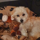 Entry image for Billy