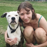 Entry image for Lightbulb