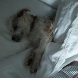 Entry image for Luey