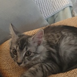 Entry image for Bondi Beach 