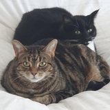 Entry image for Bridgette and Daria