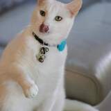 Entry image for Jack 