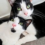 Entry image for Pixel & Pac-Man