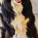 Entry image for Logan 