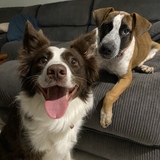 Entry image for Bailey 