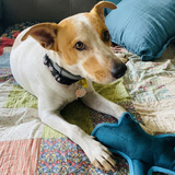 Entry image for Milly