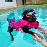 Entry image for Cookie