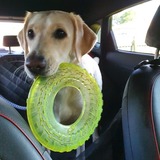 Entry image for Nova