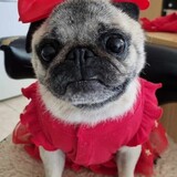 Entry image for Erica Davidson