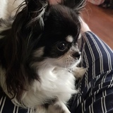 Entry image for Dee Dee 