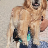 Entry image for Margot