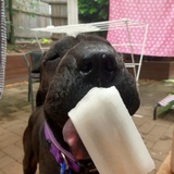 Entry image for Peppa