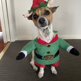 Entry image for Harry 