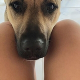 Entry image for Bella