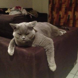 Entry image for Sir “George” Hucknell Hollitt 