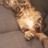 Entry image for Emmy