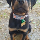 Entry image for Indiana