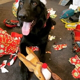 Entry image for Major