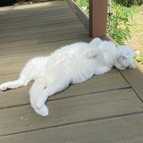 Entry image for Emma