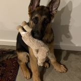 Entry image for Rommel