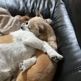 Entry image for Tara and Bella