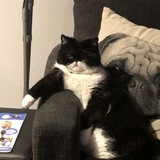 Entry image for Ishka 