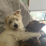 Entry image for Lewis