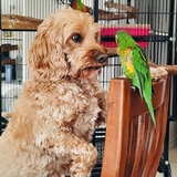 Entry image for Keesha