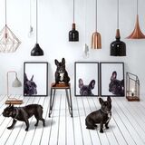 Entry image for Coco