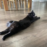 Entry image for Chloe