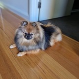 Entry image for ASTRA