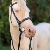 Entry image for Mississippi