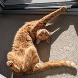 Entry image for Kennedy