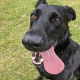 Entry image for Katie