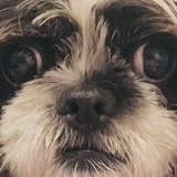 Entry image for Bobby