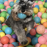 Entry image for Evie