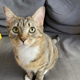 Entry image for Alex