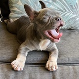 Entry image for Molly 