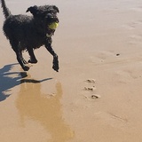 Entry image for Skip