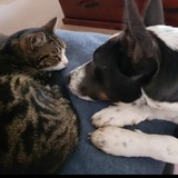 Entry image for Osky and Melly