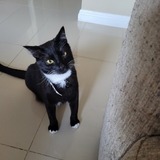 Entry image for Harry