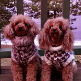 Entry image for Bridget & Beau